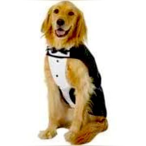 Frisco Formal Dog & Cat Tuxedo, Black, Small